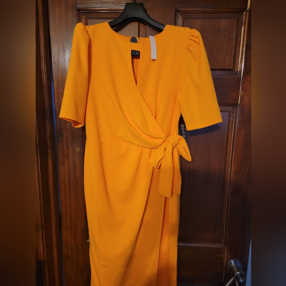 NWT New York and Company Dress